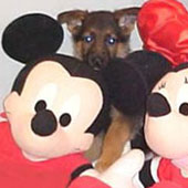 Web Browser for Kids